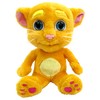 RELSY Talking Ginger Cat Soft Toy,Ginger Cat Teddy,Talking Tom and