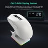 TECWARE EX1 Lightweight Gaming Mouse | 26K DPI Wireless Mouse