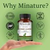mi Nature Curry Leaves Tablet (Murraya koenigii) | Pure &