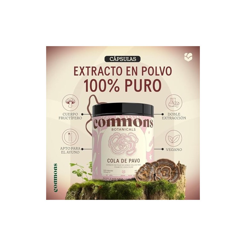 Hongos Adaptógenos Suplemento Hongo Cola Pavo 120 Cápsulas Extracto 100