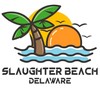 CafePress Delaware Slaughter Beach Aluminum License Plate Frame, License Tag