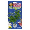 Zoo Med Laboratories AZMBP20 Betta Plant Philo