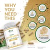 Organic Lions Mane Supplement 1500mg - 180 Vegan Capsules -