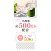 極濃 青汁 乳酸菌500億個 生きた酵素 (製薬会社と共同開発) 大麦若葉 無添加 国産 (1個 (x