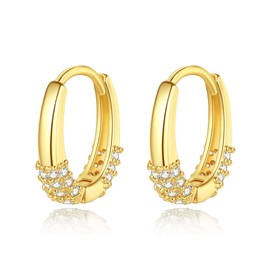 Huggie Hoop Earrings for Women, Small Gold Hoops with 14K Real Gold Plated, Hypoallergenic Earrings Trendy Jewelry