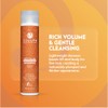Colure Body Volume Shampoo (New Packaging) 10 fl oz