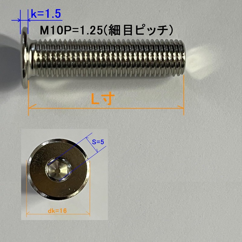 M10 (P=1.25) Stainless Steel Ultra Thin Low Head Cap Bolts
