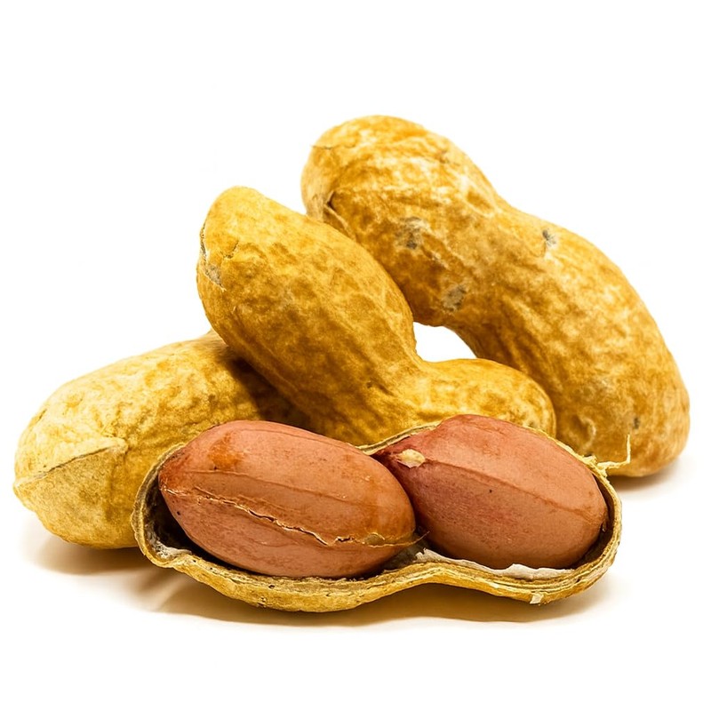 Sky | Premium USA Grown, Raw Peanuts in Shell for