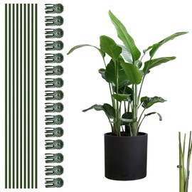10Pcs Plant Support Stakes with 15pcs Plant Clips, Bendable Plant Stakes Plant Sticks Help for Support Tall and Thrive, Plant Stakes for Outdoor and Indoor Plants, Plant Support Clips Set(Green)