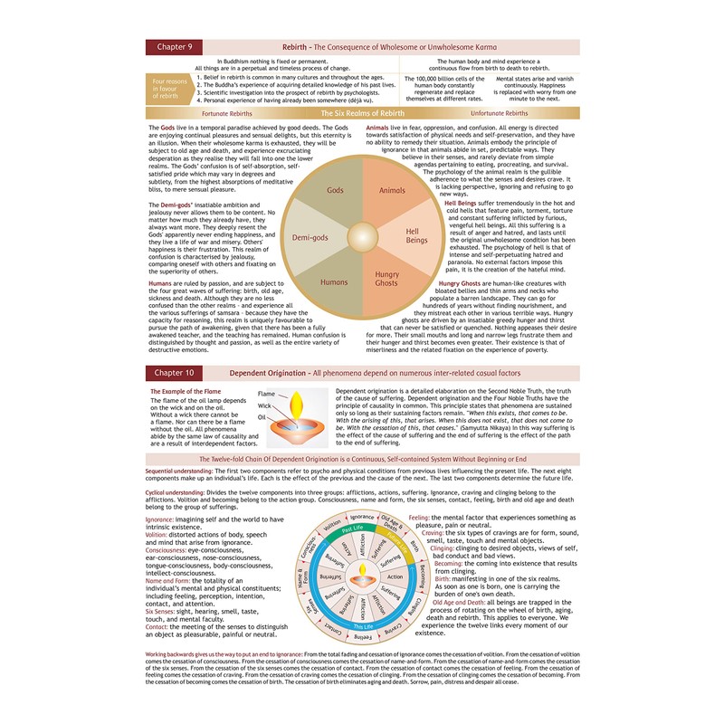 Essential Elements of Buddhism Guide: Understanding & Remembering
