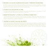 Te Verde Matcha Imperial Nice 100 Grs
