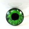 Lot 5 Pairs of 30mm Large Human Glass Eye Props