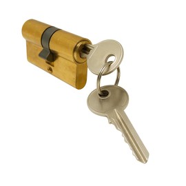 Euro Profile Cylinder 60 mm Solid Brass - Security Door Cylinder with 3 Keys | Robust Brass Cylinder for House & Apartment Doors | Burglary Resistant, Durable & Easy Assembly