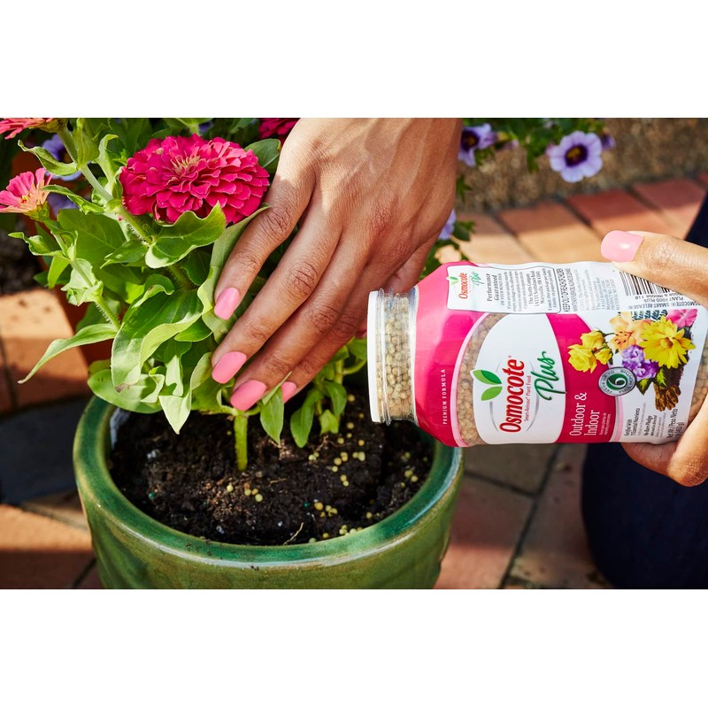 Osmocote Smart-Release Plant Food Plus Outdoor & Indoor, 1 lb.