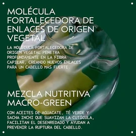 Aveda Botanical Repair Strengthening Shampoo | Fortalece y Repara