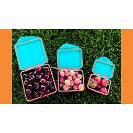 Kid Basix by New Wave Safe Snacker 3 Size Bundle Reusable Stainless Steel Lunchboxes Includes 23oz, 13oz and 7oz Reusable, Teal