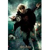 Philos 9043-3D Puzzle Ron Weasley in Collector's Box, 300 Pieces,