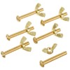 Pentair R221166 155 Brass Bolt and Wing Nut
