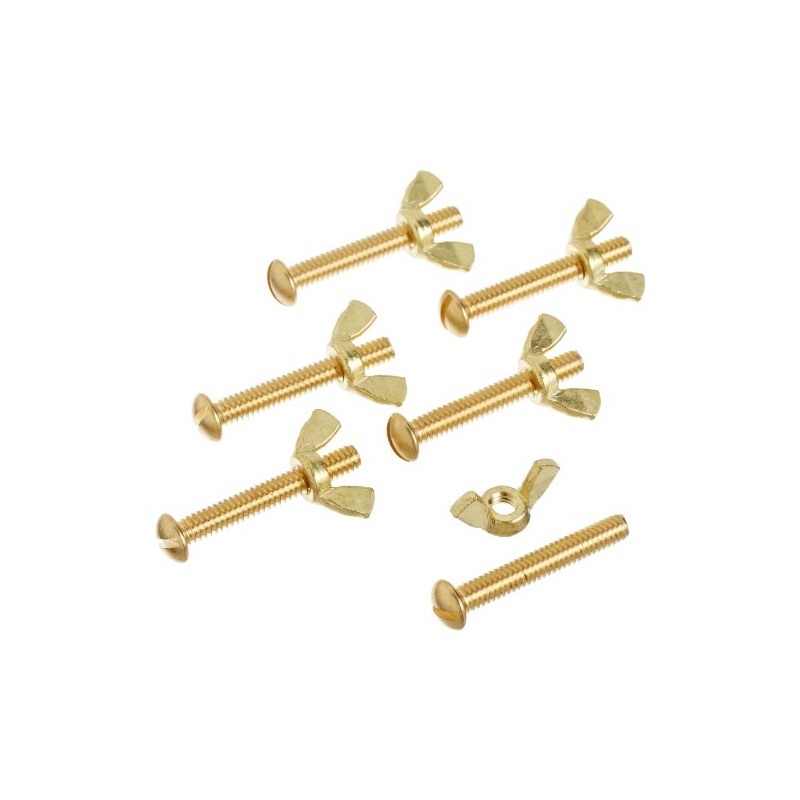 Pentair R221166 155 Brass Bolt and Wing Nut