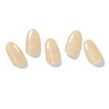Rikkey Gel Nail Seal, UV Light, Curing Type, Easy Off,