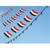 FFILL Egypt Banner Flag String, Egypt Mini Flag Small Banner,