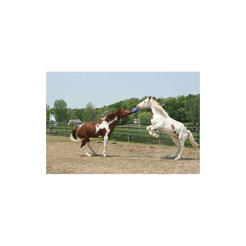 Horsemen's Pride Horsemen's Pride Jolly Ball - Blue, 10 inch