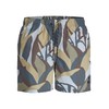 JACK & JONES Men's Jpstmaui Jjswim Ocean Days AKM, Silver