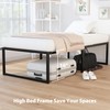 EMODA 16 Inch Narrow Twin Bed Frame 30x75, Heavy Duty