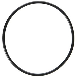 Waterway Plastics 806105129666 Serviceable Swing Check Valve Cover O-Ring