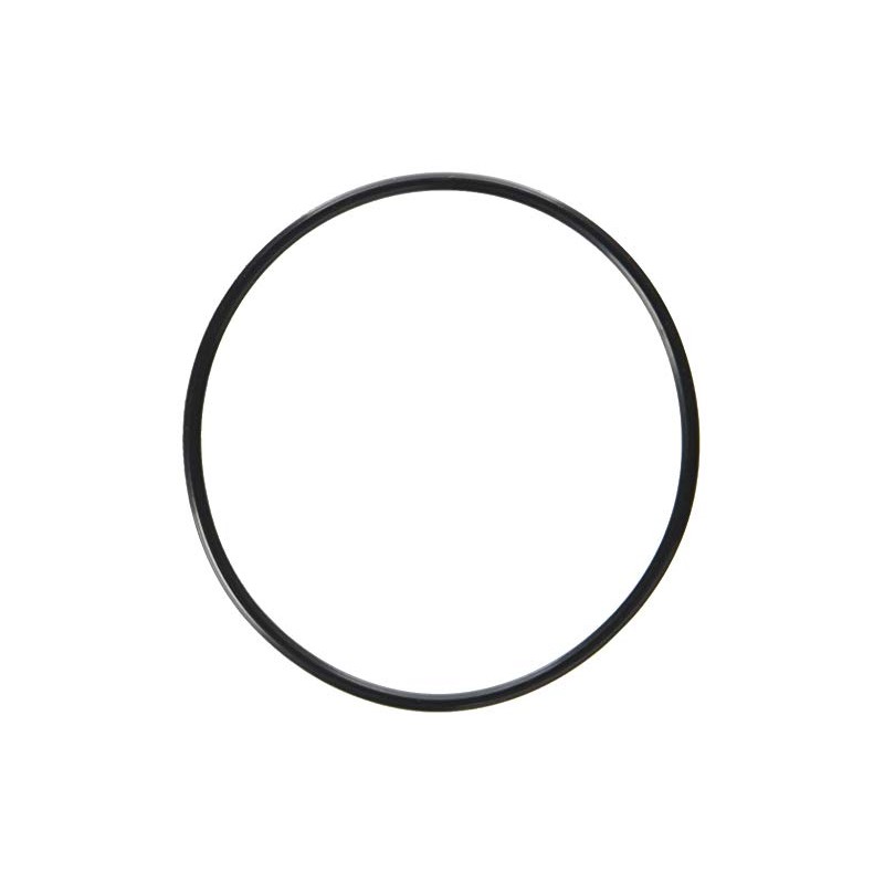 Waterway Plastics 806105129666 Serviceable Swing Check Valve Cover O-Ring