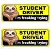 NIMONA Student Driver Magnet for Car - Funny 2 Pack