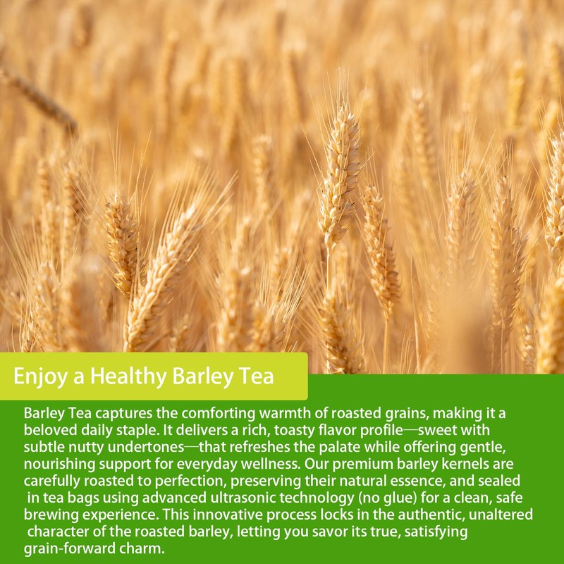 Samcci - Barley Tea, 4g×50 Count Premium Natural Roasted Barley