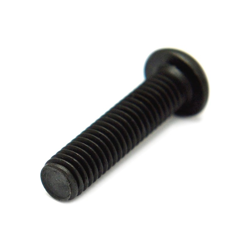 Stainless Steel/SS Black Button Cap (Full Thread) M5 x 15