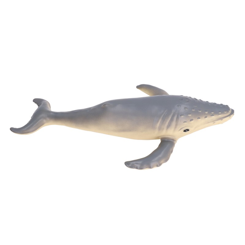 Ocean Animal Toys Humpback Models Educational Plaything Emulational for Kids