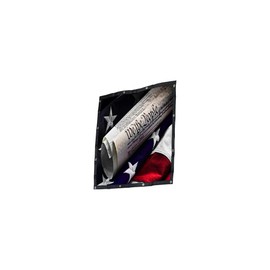 GrilleAdz We The People Mesh Bug Screen for Peterbilt 388/389 (Bug Screen With Turnbuckle Install Kit)