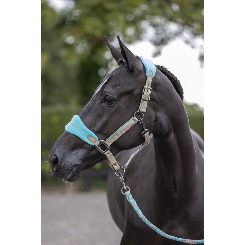 Vogue Fleece Headcollar - Halter & Leadrope Azure X-Full