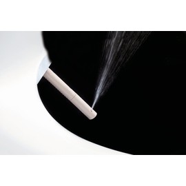 INAX 8012A70GRC-415 Heated Shower Toilet Bidet Seat with Remote Control + Dual Nozzle, White