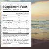 Kor Shot Elderberry and Zinc Shot - 24 Pack x