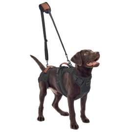 Dog Lift Harness, Detachable Dog Lift Sling for Senior, Injured Dogs, Mutifunctional Full Body Dog Harness Vest for Medium Dogs Hind Leg Support, Prevent Chafing, Large (Black)