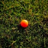 Trust Golf Balls Aurora | Tour-Level Performance | Stand Out