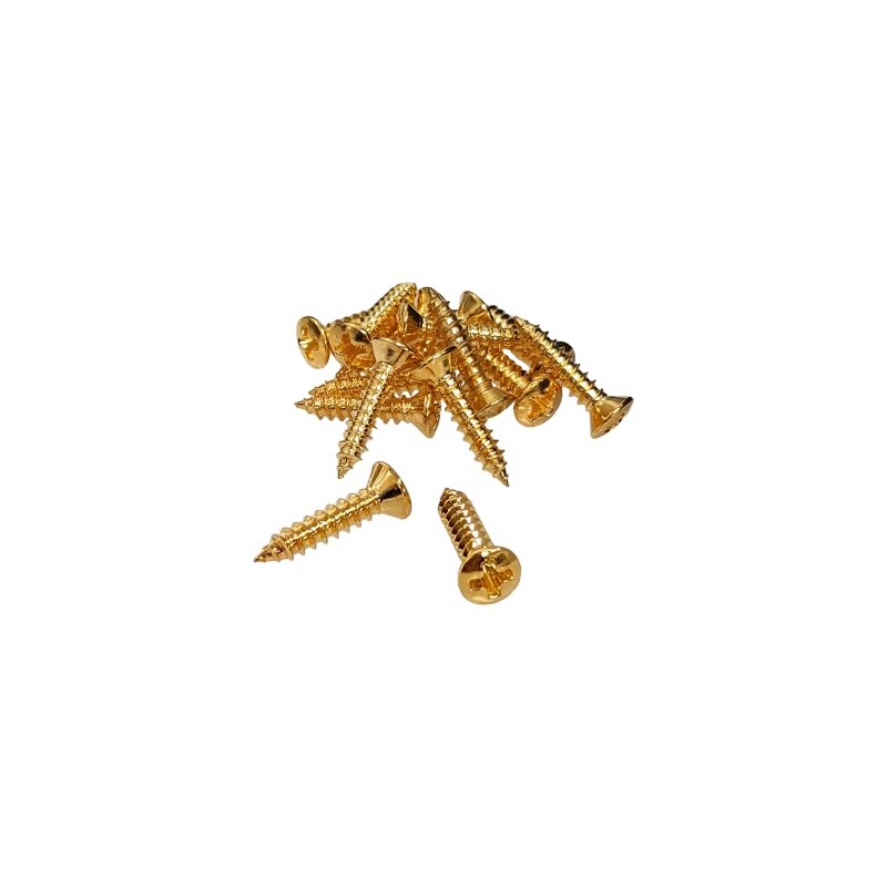 YJB PARTS Relic Screws Relic Screws (Inch) for F-Type Pickguard