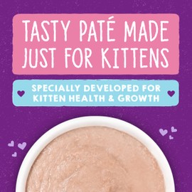 Stella & Chewy's Carnivore Cravings Purrfect Paté - Premium Grain-Free Wet Kitten Food - Chicken & Salmon Recipe - High Protein with Bone Broth - Perfect for Picky Kittens - 5.2oz Cans (12 Pack)