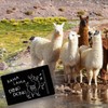 speecheese Rama Lama Ding Dong Alpaca Doormat in 40 x