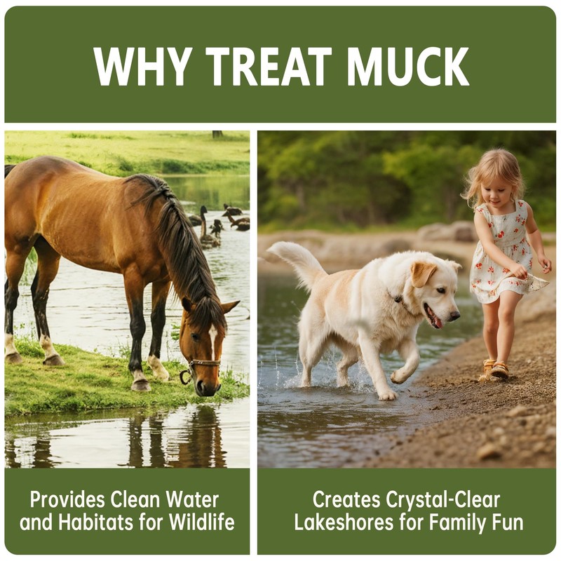 LMJP Muck Reducer - 5LB Natural Sludge Solution Tablets for