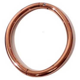 Cuffstore 9" Rose Gold Titanium Over Stainless Anklet Elliptical Legiron