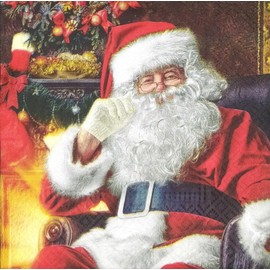 AM Decor 20-Count Luncheon Paper Napkins Christmas Dinner Holiday Party Decorative Decoupage - 13" x 13" (Unfolded) Santa at Home