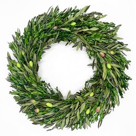 Bergamo Art Preserved Decorative Real Boxwood Leaf and Olive Leaf Wreath 21 Inch