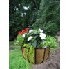 Garden Artisans 14 in Bellus Hanging Basket - 2 Pack