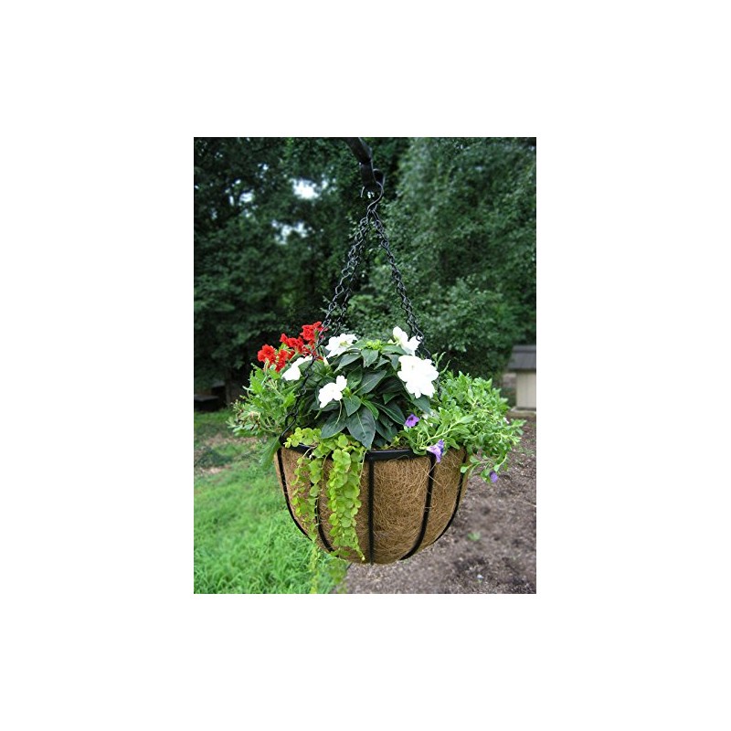 Garden Artisans 14 in Bellus Hanging Basket - 2 Pack