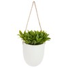 ATMOSPHERA CREATEUR D'INTERIEUR Hanging wall plant H20